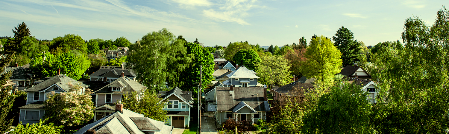 Banner image of Hollywood